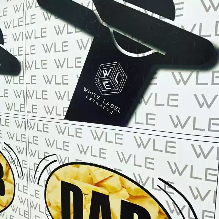 Black WLE-branded die-cut packaging and printed sticker sheets